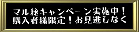 購入者様限定企画