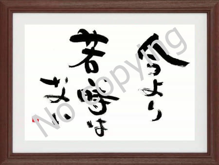 相手がドン引きするくらいの熱い思い入れを語る 名言 格言額 心に残る言葉の贈り物