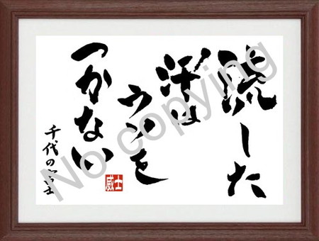 千代の富士 名言
