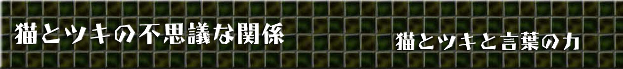 猫とツキの不思議な関係